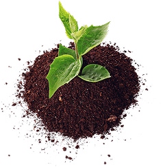 Fertilizers